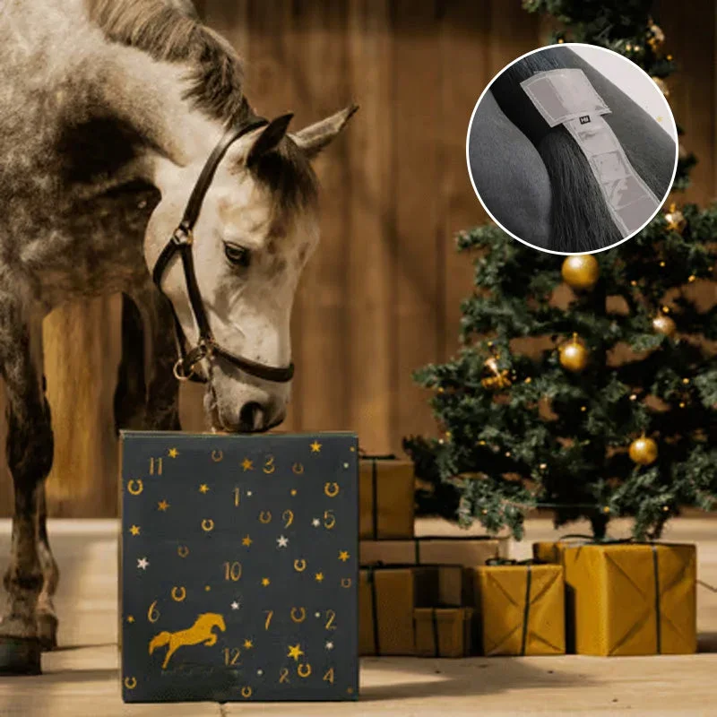 Brehn | Ponyleiste und Fransen Adventskalender 2024