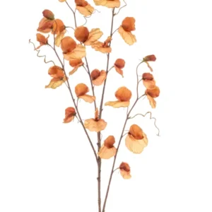 Lathyrus künstlich 110 cm - 1 Stiel - Dunkelorange