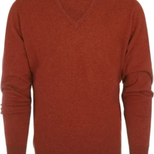 Pullover mit V-Ausschnitt aus Lammwolle *Sale* | Tiger