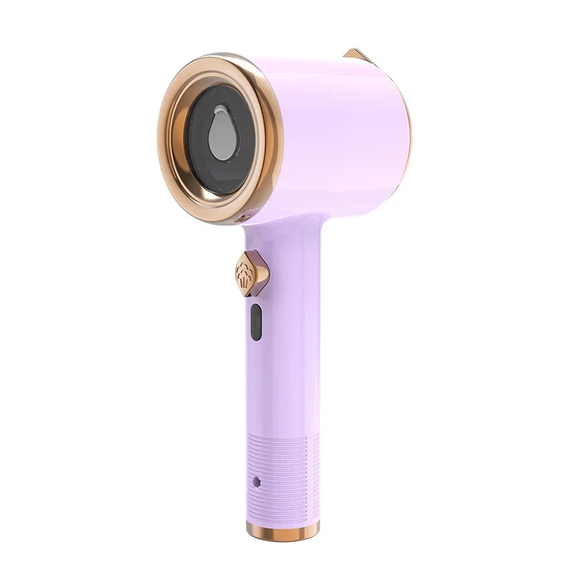 Handheld tragbarer Dampfer Brehn