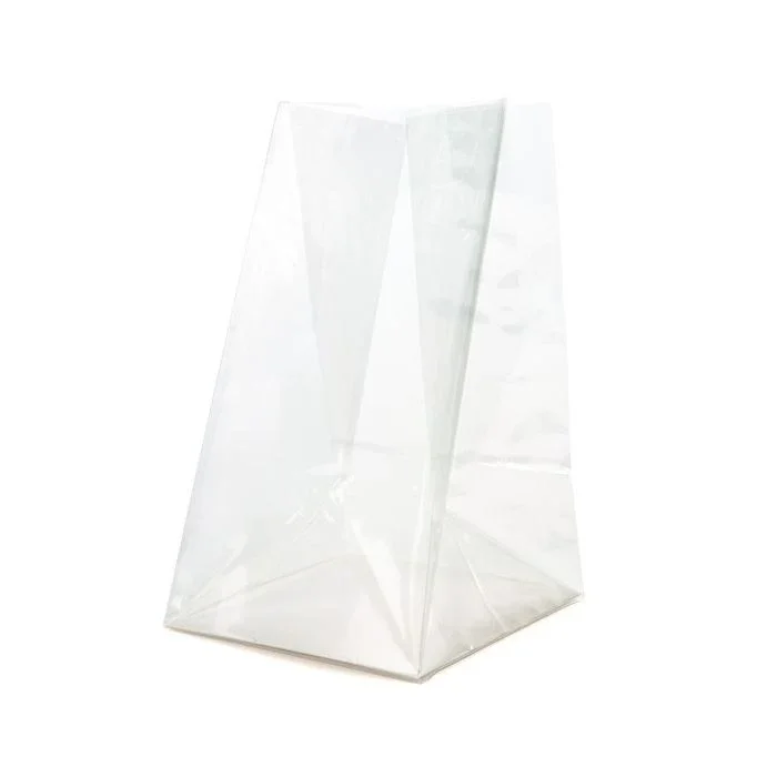 Block Bottom Bags Clear 5.1x3.8x12.7cm with paper insert