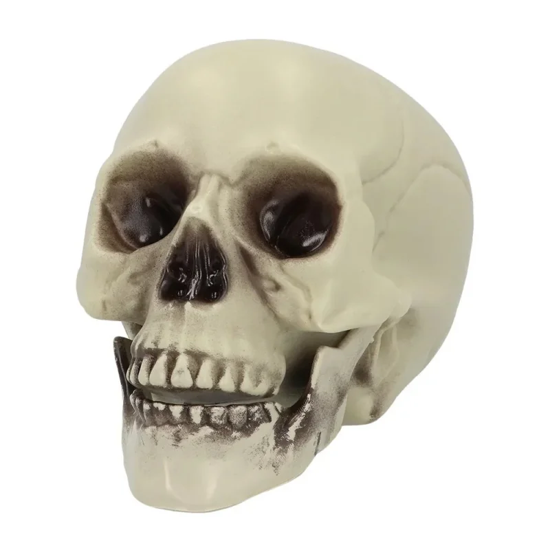 Halloween Schedel Whisperbone 20cm van Boland koop je bij Partywinkel