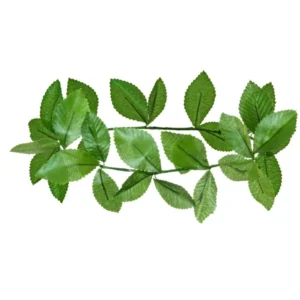 Grüner Lorbeerkranz Kopfschmuck
