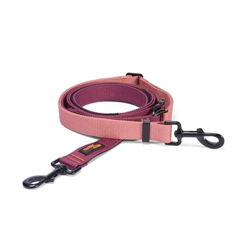 Cloud7 Hundeleine L-1 Freihandleine AKTIV, Aubergine/Soft Rose Hundeleine Large